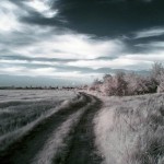 infrared_photography_3