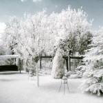 infrared_photography_2
